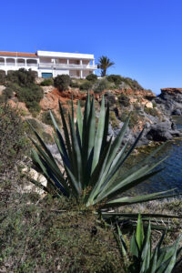 Cabo de Palos.